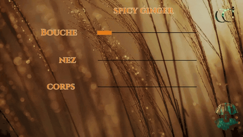 Spicy Ginger note de dégustation