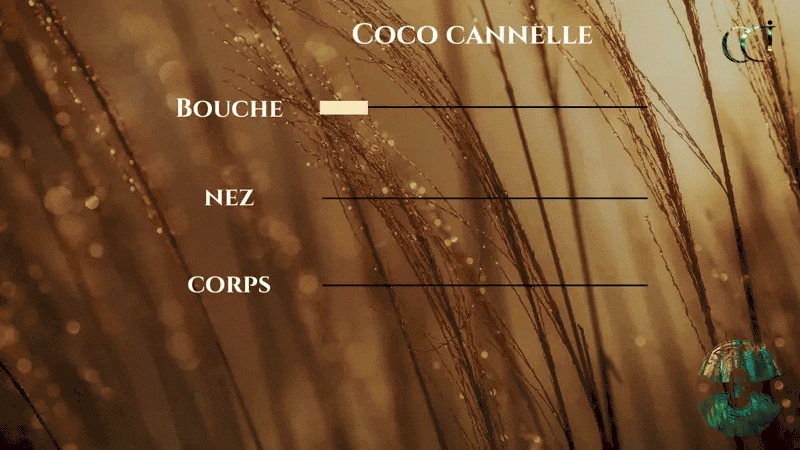 Coco Cannelle note de dégustation